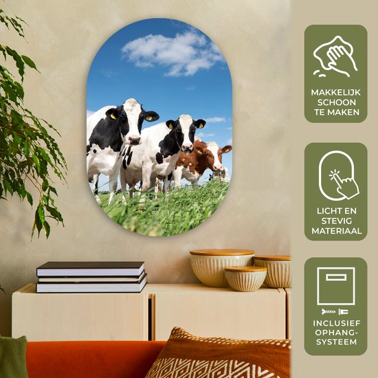 Ovale Mural - Ovale Mural - Décoration murale Plastique - Peinture Ovale - Vaches - Campagne - Pâturage - Nature - Animaux - 60x90 cm - Forme miroir ovale sur plastique