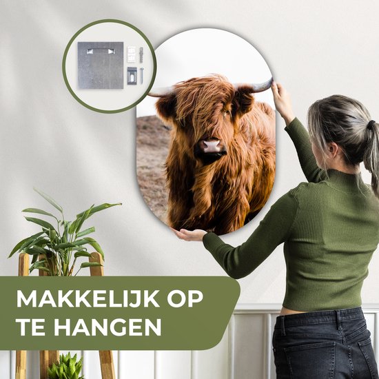 Ovale Mural - Ovale Mural - Décoration murale Plastique - Peinture Ovale - Highlander écossais - Paysage - Vache - Marron - Animaux - Nature - 60x90 cm - Forme miroir ovale sur plastique