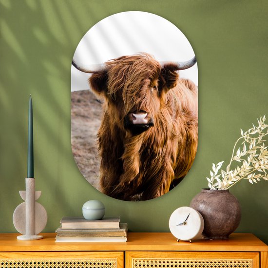 Ovale Mural - Ovale Mural - Décoration murale Plastique - Peinture Ovale - Highlander écossais - Paysage - Vache - Marron - Animaux - Nature - 60x90 cm - Forme miroir ovale sur plastique