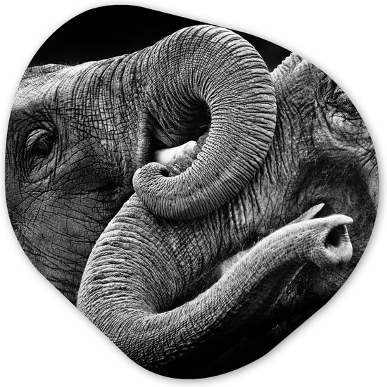 Organische Wanddecoratie - Kunststof Muurdecoratie- Organisch Schilderij - Knuffelende olifanten in zwart-wit- 60x60 cm - Organische spiegel vorm op kunststof