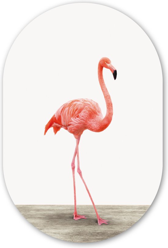 Muurovaal - Wandovaal - Kunststof Wanddecoratie - Ovalen Schilderij - Flamingo - Roze - Vogel - Meisjes - Jongens - Kind - 60x90 cm - Ovale spiegel vorm op kunststof