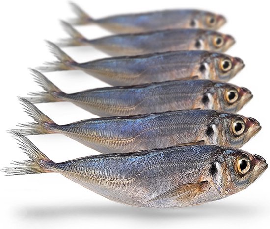 Prebaits Horsmakreel - Dood aas - Wit — afbeelding 5