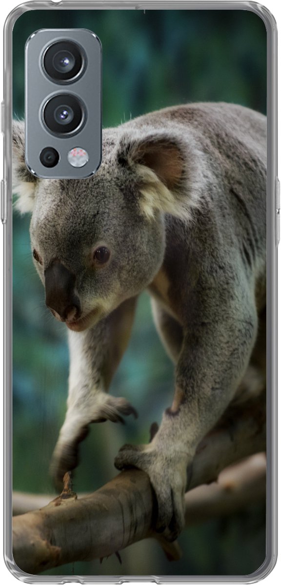 Telefoonhoesje Geschikt voor OnePlus Nord 2 5G hoesje - Koala - Boom - Klimmen - Kids - Jongens - Meiden - Siliconen Telefoonhoesje Telefoonhoesje