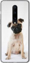 Geschikt voor OnePlus 7 Pro hoesje - Hond - Huisdieren - Portret - Siliconen Telefoonhoesje
