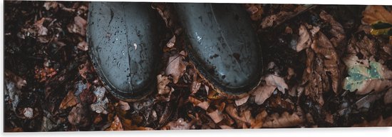 WallClassics - Dibond - Regenlaarsjes in Herfstbladeren - 120x40 cm Foto op Aluminium (Wanddecoratie van metaal)