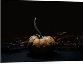 WallClassics - Plaque de Mousse PVC - Citrouille avec Hetfsttak - 100x75 cm Photo sur Plaque de Mousse PVC (Avec Système d'accrochage)