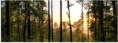 WallClassics - Poster Glossy - Coucher de Soleil sur les Arbres - 60x20 cm Photo sur Papier Poster avec Finition Brillante