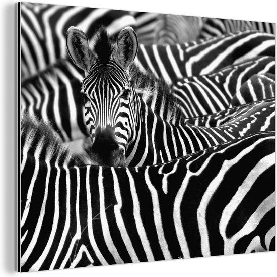 Wanddecoratie Metaal - Aluminium Schilderij Industrieel - Zebra zwart-wit fotoprint - 160x120 cm - Dibond - Foto op aluminium - Industriële muurdecoratie - Voor de woonkamer/slaapkamer