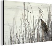 Wanddecoratie Metaal - Aluminium Schilderij Industrieel - Een roerdomp staande op de rand van een bevroren meer - 120x80 cm - Dibond - Foto op aluminium - Industriële muurdecoratie - Voor de woonkamer/slaapkamer