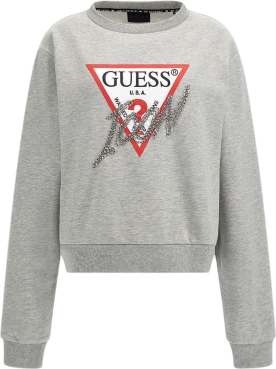 Guess CN Icon Sweatshirt Dames Sweater - Grijs - Maat S | bol.com