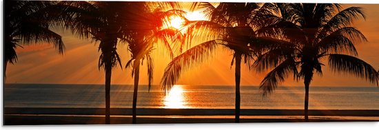 WallClassics - Dibond - Palmbomen op het Strand bij Zonsondergang - 90x30 cm Foto op Aluminium (Met Ophangsysteem)