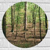 WallClassics - Muursticker Cercle - Beau temps dans la forêt - 40x40 cm Photo sur Muursticker