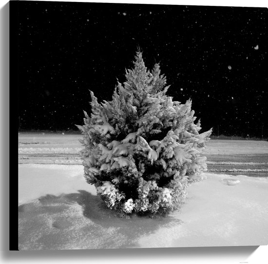 WallClassics - Canvas  - Wit Besneeuwde Kerstboom in het Donker - 60x60 cm Foto op Canvas Schilderij (Wanddecoratie op Canvas)