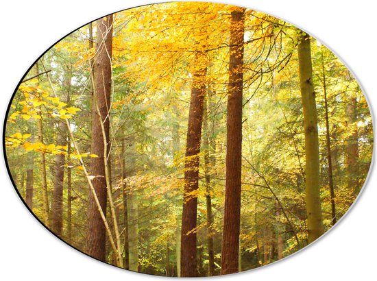 WallClassics - Dibond Ovaal - Fel Gekleurde Bomen in het Bos - 40x30 cm Foto op Ovaal (Met Ophangsysteem)