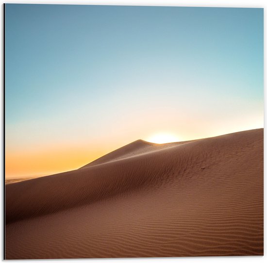 WallClassics - Dibond - Hoge Duinen in de Woestijn - 50x50 cm Foto op Aluminium (Met Ophangsysteem)