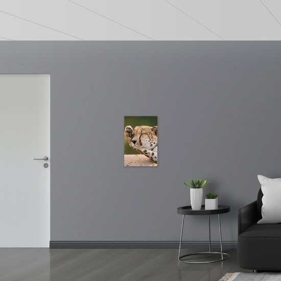 WallClassics - PVC Schuimplaat - Schattige Slaperige Jachtluipaard - 40x60 cm Foto op PVC Schuimplaat (Met Ophangsysteem)