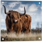 WallClassics - Tuinposter – Schotse Hooglander - 50x50 cm Foto op Tuinposter  (wanddecoratie voor buiten en binnen)