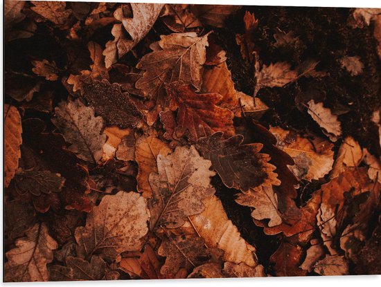 WallClassics - Dibond - Herfstbladeren op Hoop - 80x60 cm Foto op Aluminium (Met Ophangsysteem)