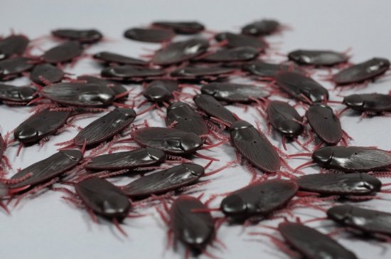 10x stuks Nep ongedierte kakkerlakken - Fun/fop artikelen - Nep ongedierte - Halloween decoratie/versiering kakkerlakken van 6 cm