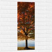 WallClassics - Muursticker - Grote Herfstkleurige Boom - 30x90 cm Foto op Muursticker