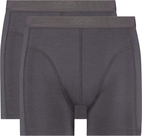 Ten Cate Bamboe 2-Pack boxer homme 30859 - M - Grijs