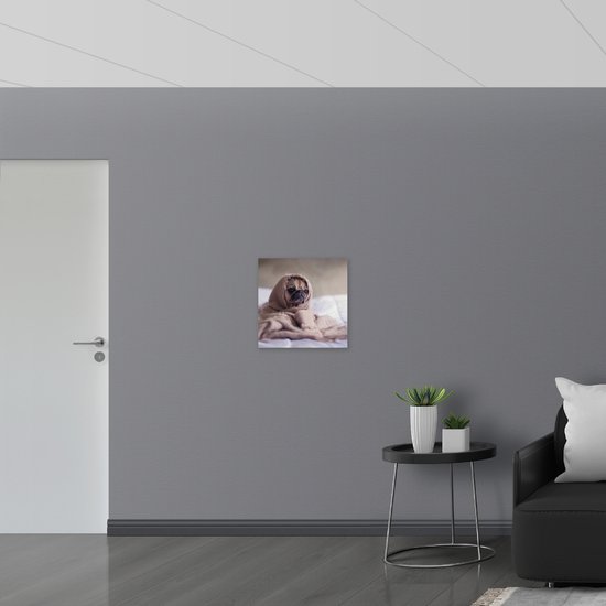 WallClassics - Poster brillant - Chien mignon sous la couverture - Photo 50x50 cm sur papier poster brillant