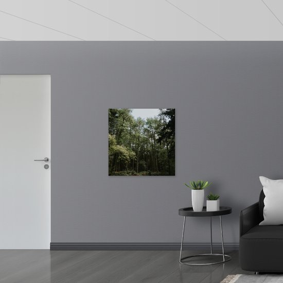 WallClassics - Drapeau - Grands Arbres Verts - Photo 80x80 cm sur Drapeau Polyester