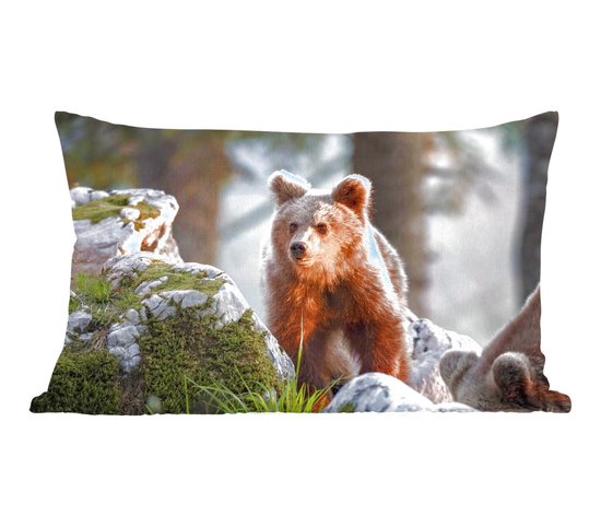 Sierkussens - Kussen - Bruine beer in het zonlicht - 50x30 cm - Kussen van  katoen | bol.com
