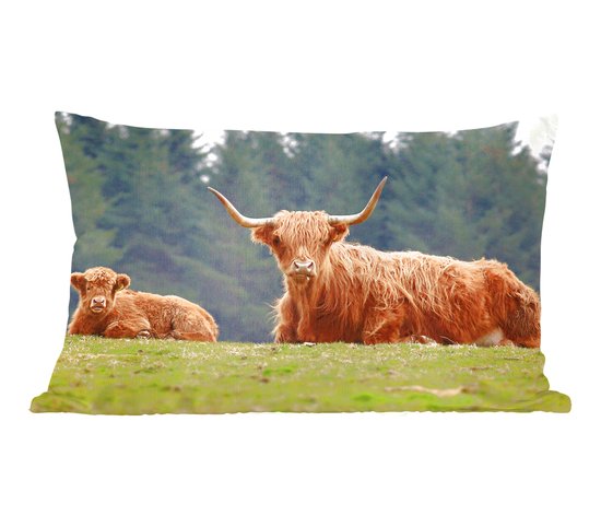 Sierkussen Highlander Cows pour l'intérieur - Highlanders in the grass - 50x30 cm - Coussin intérieur rectangulaire en coton