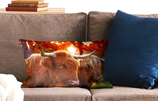 Sierkussen Highlander Cows pour l'intérieur - Highlanders gros plan en automne - 50x30 cm - Coussin intérieur rectangulaire en coton