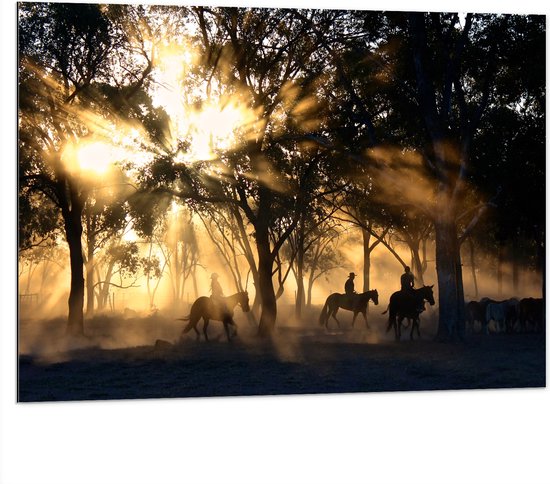 WallClassics - Dibond - Groepje Paarden in Bos verlicht door Zon - 100x75 cm Foto op Aluminium (Met Ophangsysteem)