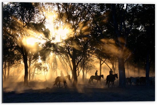 WallClassics - Dibond - Groepje Paarden in Bos verlicht door Zon - 60x40 cm Foto op Aluminium (Wanddecoratie van metaal)