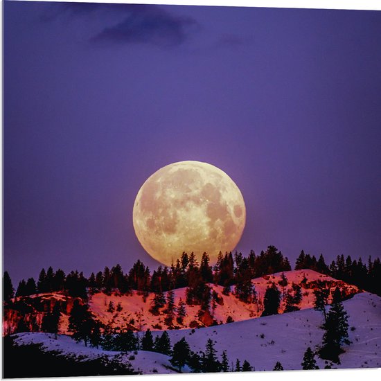 WallClassics - Acrylglas - Grote Volle Maan boven SneeuwBerg - 80x80 cm Foto op Acrylglas (Wanddecoratie op Acrylaat)