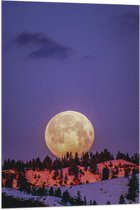 WallClassics - Vlag - Grote Volle Maan boven SneeuwBerg - 60x90 cm Foto op Polyester Vlag