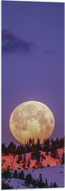 WallClassics - Vlag - Grote Volle Maan boven SneeuwBerg - 30x90 cm Foto op Polyester Vlag