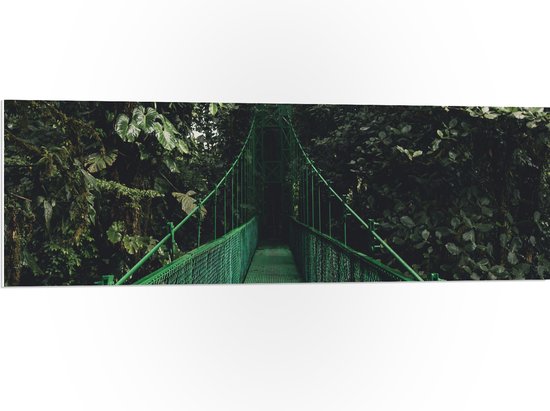 WallClassics - PVC Schuimplaat - Groene Brug in Bosgebied - 120x40 cm Foto op PVC Schuimplaat (Met Ophangsysteem)