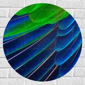 WallClassics - Muursticker Cirkel - Prachtige Blauwe en Groene Veren - 60x60 cm Foto op Muursticker