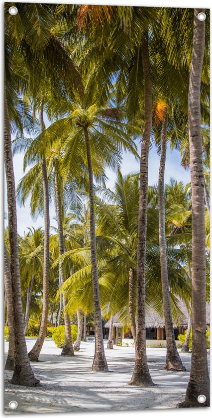 WallClassics - Tuinposter – Grote Groene Palmbomen - 50x100 cm Foto op Tuinposter  (wanddecoratie voor buiten en binnen)