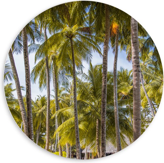 WallClassics - PVC Schuimplaat Muurcirkel - Grote Groene Palmbomen - 60x60 cm Foto op Muurcirkel (met ophangsysteem)