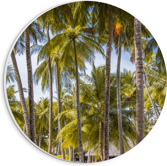 WallClassics - PVC Schuimplaat Muurcirkel - Grote Groene Palmbomen - 20x20 cm Foto op Muurcirkel (met ophangsysteem)