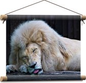 WallClassics - Affiche textile - Lion Witte endormi - 40x30 cm Photo sur textile