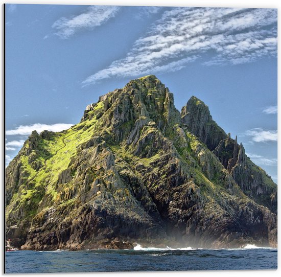WallClassics - Dibond - Grote Rots in de Zee met Groen - 50x50 cm Foto op Aluminium (Met Ophangsysteem)