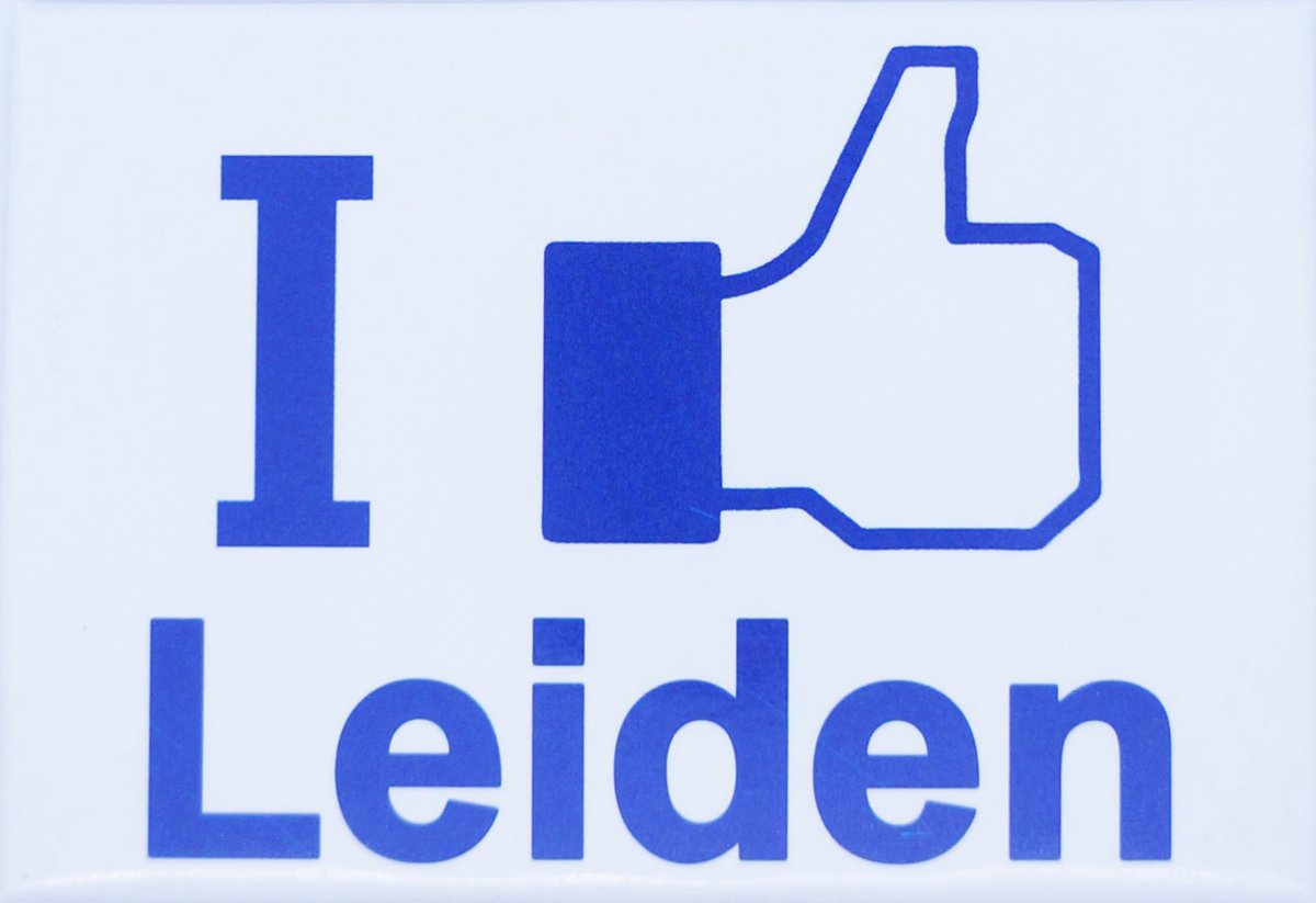 Koelkast magneet I like Leiden.
