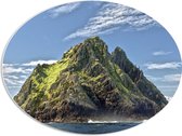WallClassics - PVC Schuimplaat Ovaal - Grote Rots in de Zee met Groen - 68x51 cm Foto op Ovaal  (Met Ophangsysteem)