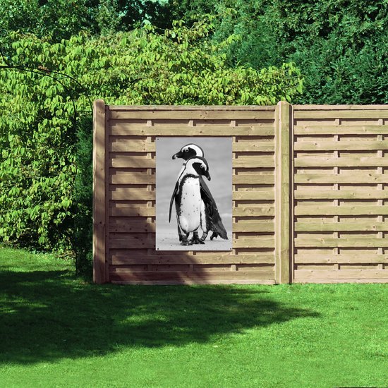 WallClassics - Poster de Jardin - Pingouins sur Glace Zwart - Wit - 80x120 cm Photo sur Poster de Jardin (décoration murale pour extérieur et intérieur)