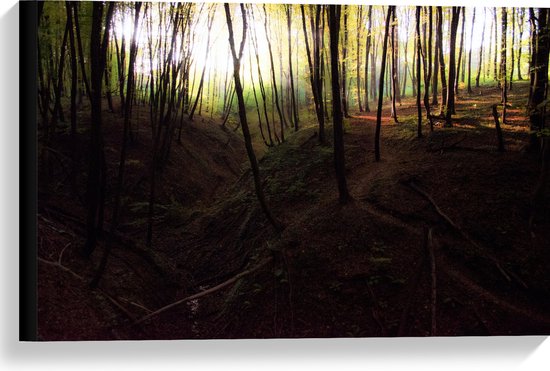 WallClassics - Canvas  - Heuvels in het Bos - 60x40 cm Foto op Canvas Schilderij (Wanddecoratie op Canvas)