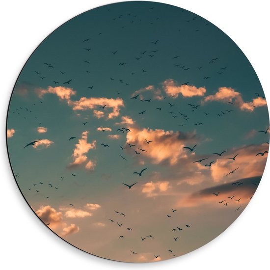 WallClassics - Dibond Muurcirkel - Zwerm Vogels bij Witte Wolken - 50x50 cm Foto op Aluminium Muurcirkel (met ophangsysteem)