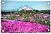 WallClassics - Tuinposter – Roze Bloemenveld met Berg in Achtergrond - 60x40 cm Foto op Tuinposter  (wanddecoratie voor buiten en binnen)