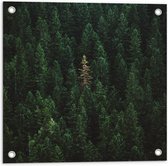WallClassics - Tuinposter – Toppen van Groene Bergen - 50x50 cm Foto op Tuinposter  (wanddecoratie voor buiten en binnen)