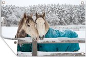 Muurdecoratie Paarden - Deken - Sneeuw - 180x120 cm - Tuinposter - Tuindoek - Buitenposter